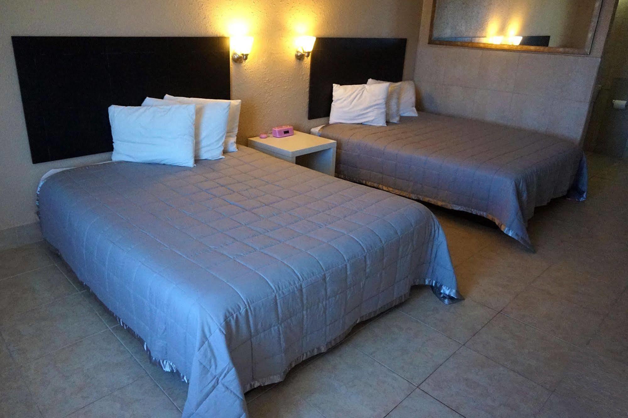 The M Hotel I-Drive Near Universal أورلاندو المظهر الخارجي الصورة